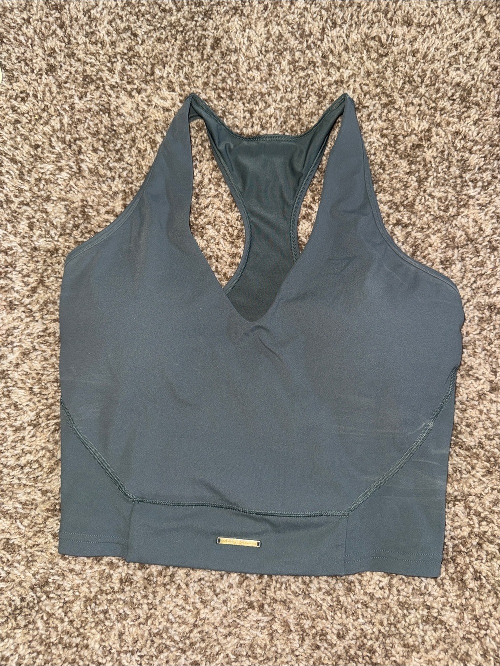 Gym shark x Whitney Simmons tank top